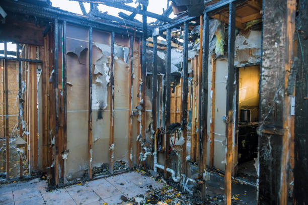 Professional Smoke Damage Removal technician working in Laguna Niguel, CA